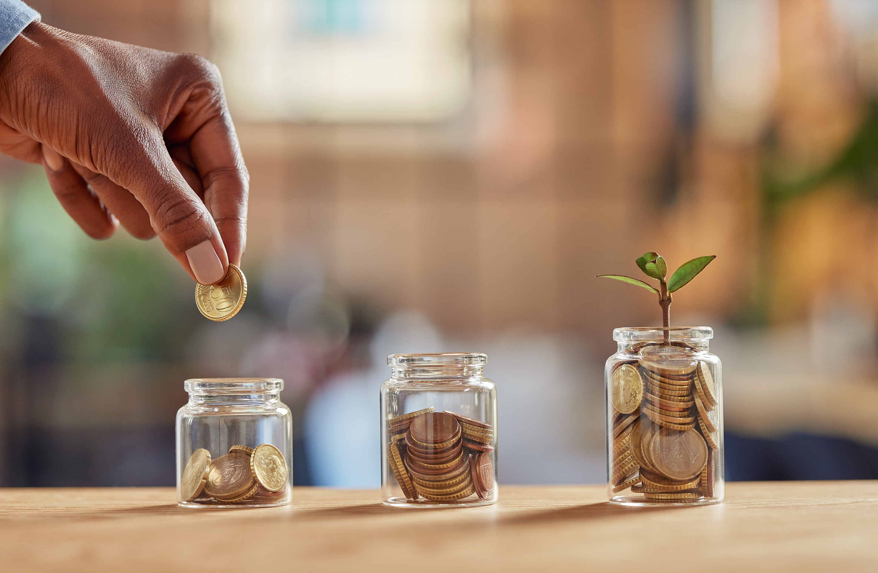 Halal Investing during War: A Steady Approach to Building Your Wealth
